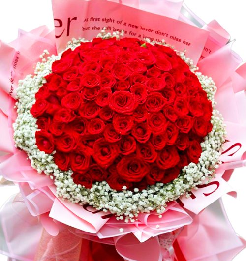 christmas roses 01