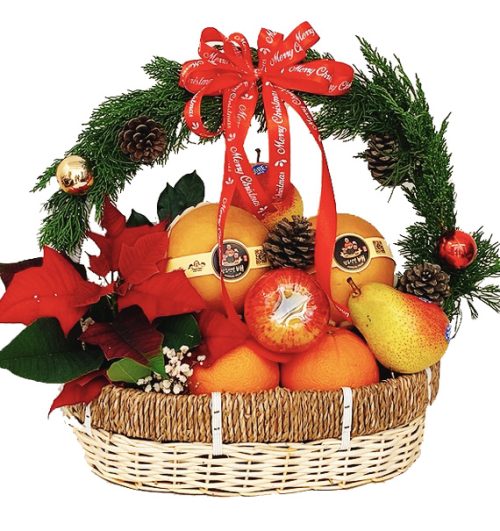 special christmas fruits 13