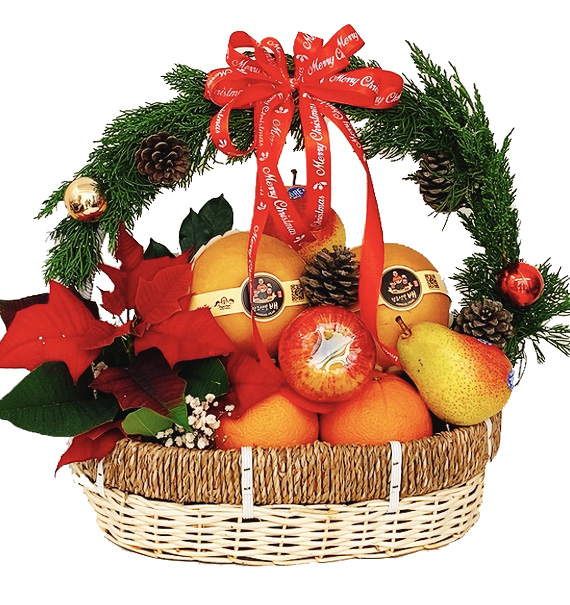 special christmas fruits 13