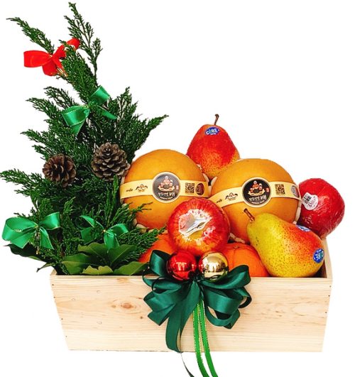 special christmas fruits 14