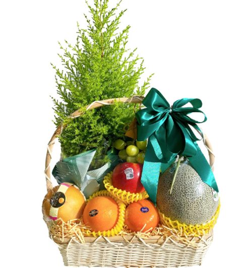 special christmas fruits 15