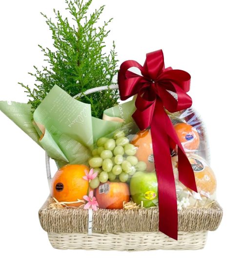 special christmas fruits 17
