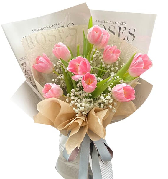 tulip flowers 01