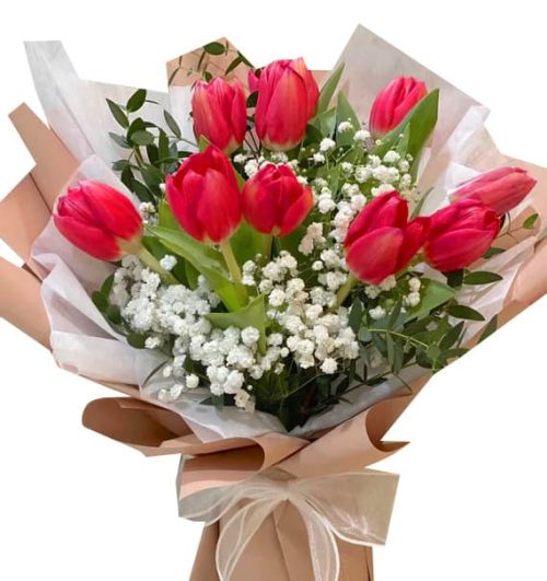 tulip flowers 02