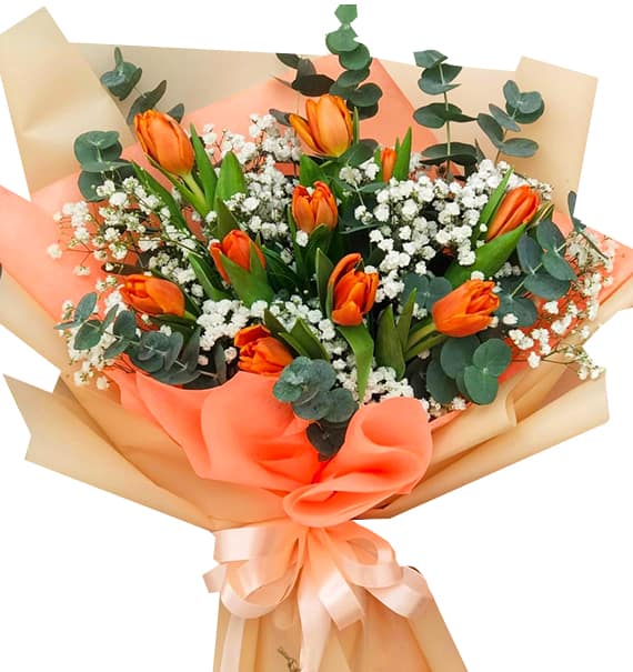 tulip flowers 03