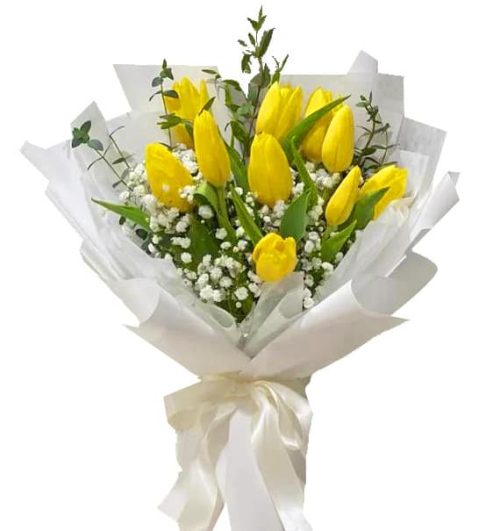 tulip flowers 04
