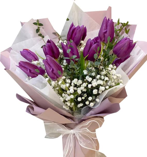 tulip flowers 06