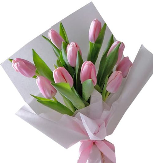 tulip flowers 07
