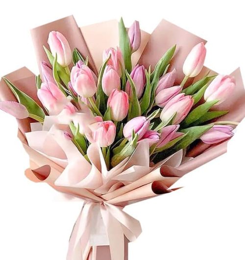 tulip flowers 12