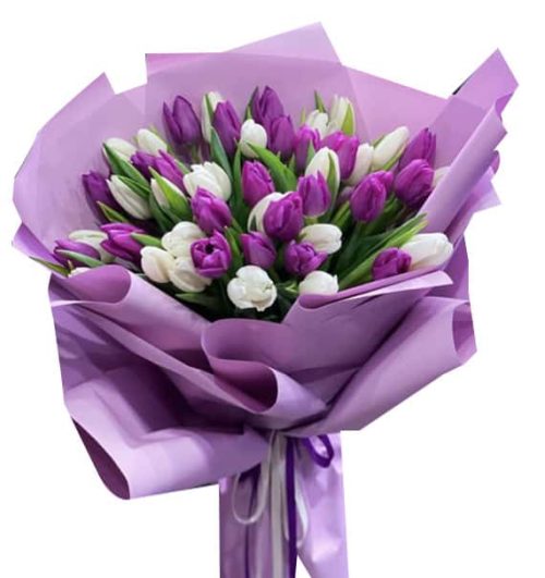 tulip flowers 21