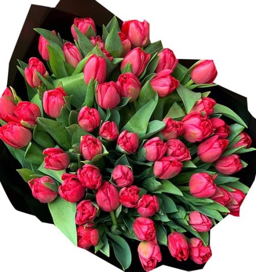 tulip flowers 22