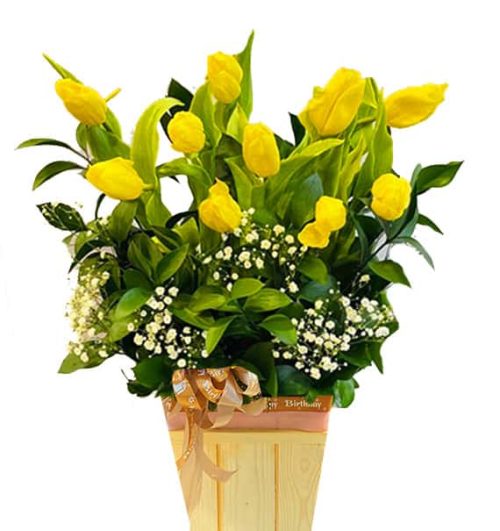 tulip flowers 25