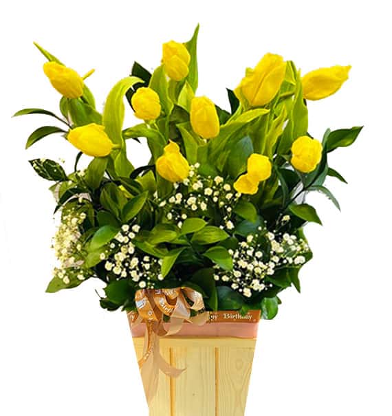 tulip flowers 25