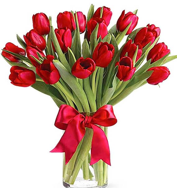 tulip flowers in vase 02