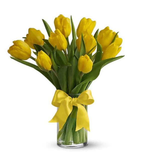 tulip flowers in vase 05