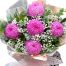 peony chrys flowers 19