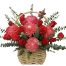 peony chrys flowers 23