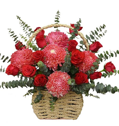 peony chrys flowers 23