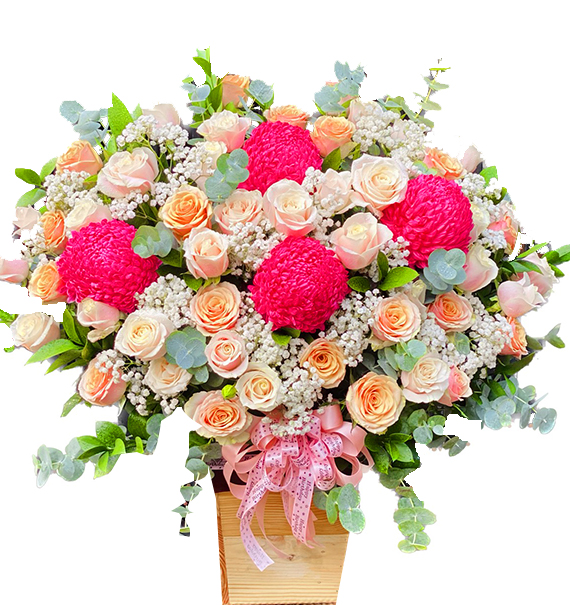peony chrys flowers vietnam 21