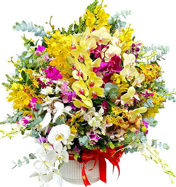 special mothers day orchids 14