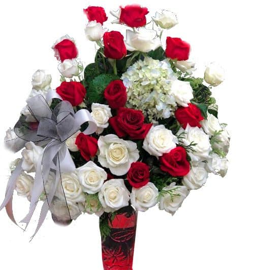 48 mixed rose in vase 500x531