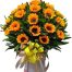 be sunshines 500x531