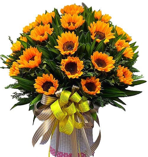 be sunshines 500x531