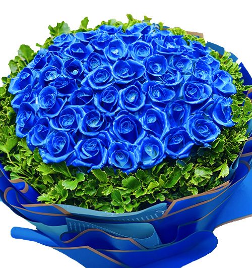 blue sky love saigonflowers 500x531