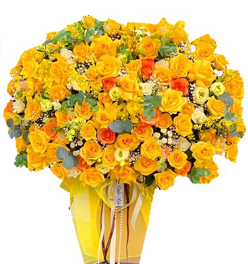 brighten my day 500x531
