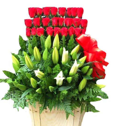 garden sensations 500x531