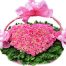 i miss you 500x531