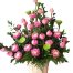 lotus flowers 05 500x531