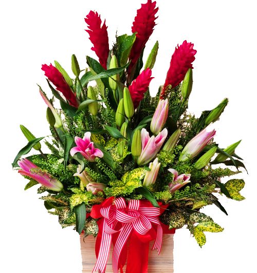 lovely dear 500x531