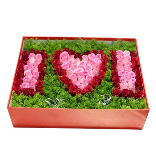 message in box 570x605