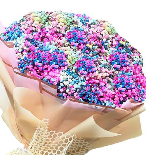 mixed baby breaths flowers 500x531