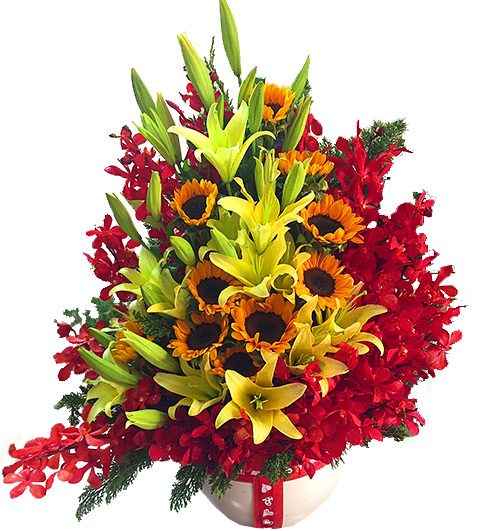 mixed orchid 01 500x531