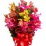 mixed orchid in vase 500x531