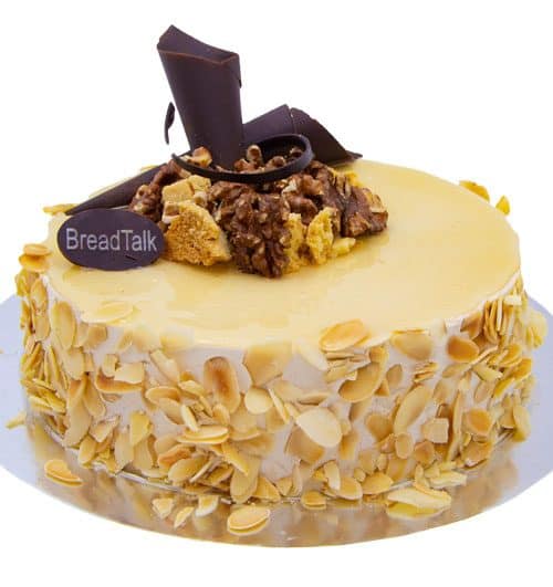 mocha cheese 500x531