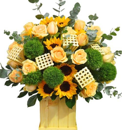 office flowers 02 500x531