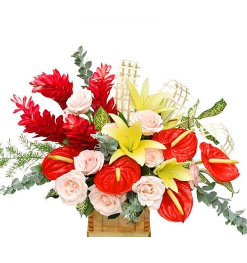 office flowers 03 500x531