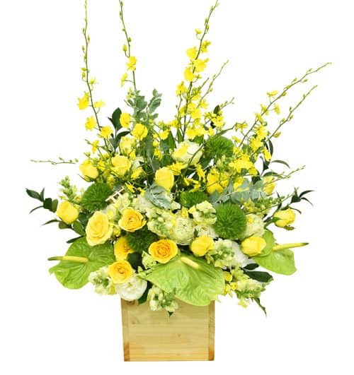 office flowers 04 500x531