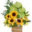 office flowers 05 500x531