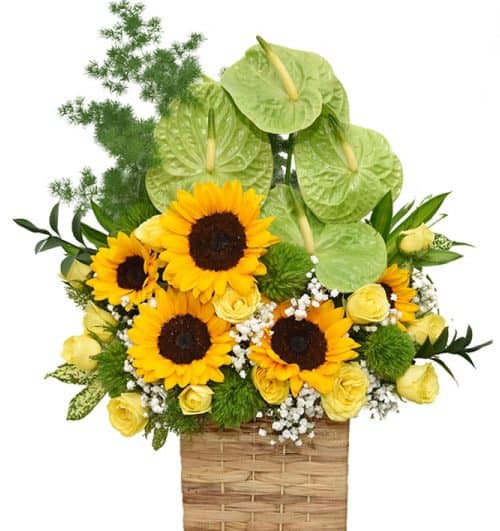 office flowers 05 500x531