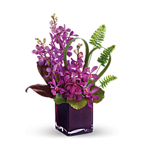 office flowers 08 500x531