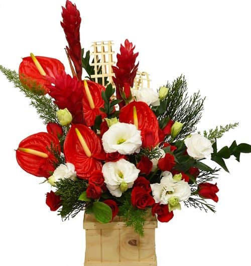office flowers 11 500x531