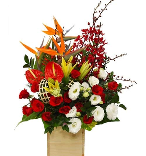 office flowers 12 500x531