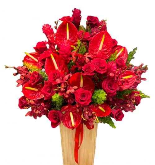 office flowers 13 500x531
