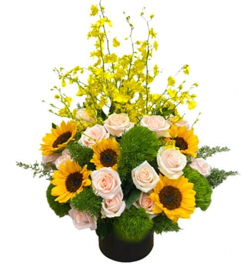 office flowers 14 500x531