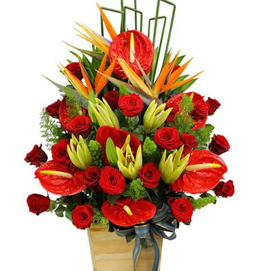 office flowers 16 500x531
