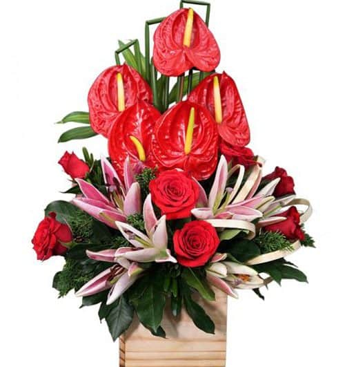 office flowers 17 500x531